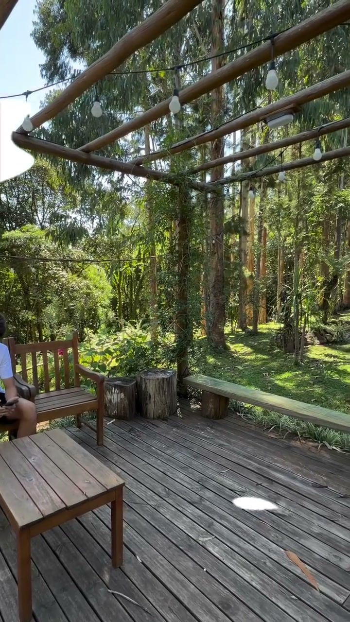 Deck de madeira com pergolado e bosque