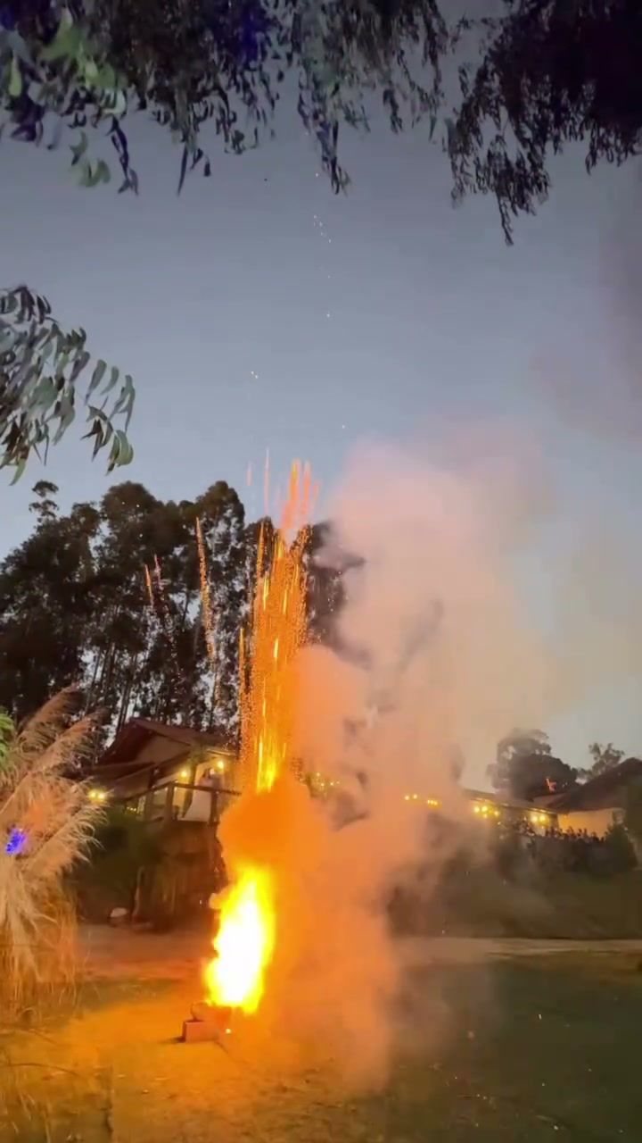 Fogos de artifício no jardim ao entardecer