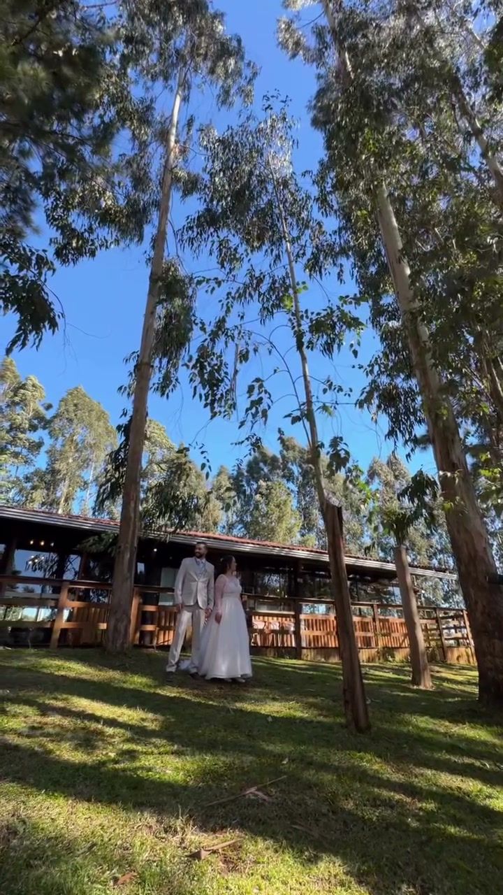 Gramado com bosque de eucaliptos